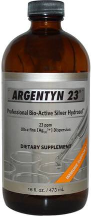 Argentyn 23, 16 fl oz (473 ml) by Allergy Research Group, 補品，礦物質，液體礦物質，銀水溶膠 HK 香港