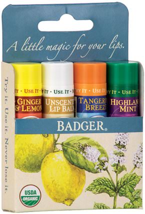 Classic Lip Balm Sticks, Blue Box, 4 Sticks.15 oz (4.2 g) Each by Badger Company, 洗澡，美容，唇部護理，唇膏 HK 香港