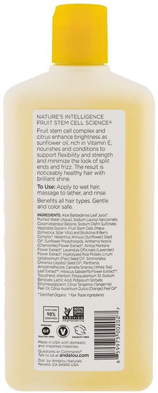 洗澡，美容，頭髮，頭皮，洗髮水，護髮素 - Andalou Naturals, Shampoo, Brilliant Shine, For Strength and Vitality, Sunflower & Citrus, 11.5 fl oz (340 ml)