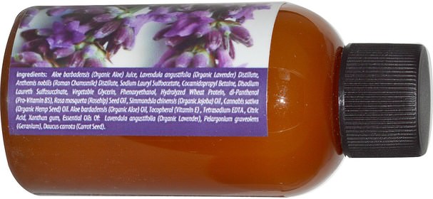 洗澡，美容，頭髮，頭皮，洗髮水，護髮素 - Isvara Organics, Shampoo, Lavender, 3 fl oz (88.72 ml)