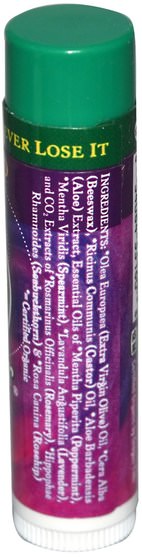 洗澡，美容，唇部護理，唇膏 - Badger Company, Organic Lip Balm, Highland Mint.15 oz (4.2 g)