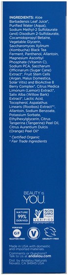 美容，面部護理，皮膚類型組合到油性皮膚，spf面部護理 - Andalou Naturals, Cleansing Gel, Citrus Kombucha, Clear Skin, 6 fl oz (178 ml)