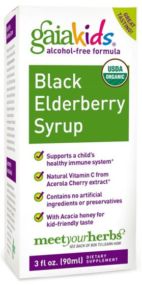 兒童健康，兒童草藥，感冒和病毒，接骨木（接骨木） - Gaia Herbs, Kids, Black Elderberry Syrup, Alcohol-Free Formula, 3 fl oz (90 ml)