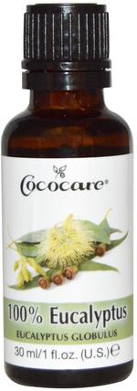 100% Eucalyptus Oil, 1 fl oz (30 ml) by Cococare, 沐浴，美容，香薰精油，桉樹油 HK 香港