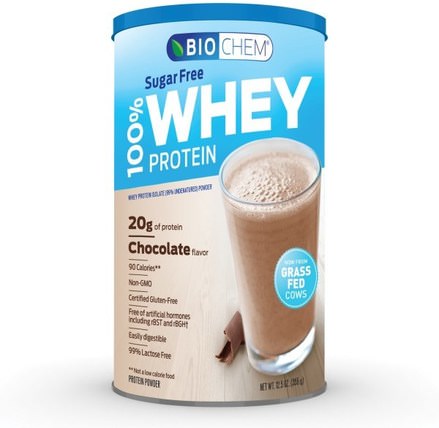 BioChem, 100% Whey Protein, Sugar Free, Chocolate Flavor, 12.5 oz (355 g) by Country Life, 補充劑，乳清蛋白，乳清蛋白未變性 HK 香港