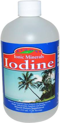 Ionic Minerals, Iodine, 18 oz (533 ml) by Eidon Mineral Supplements, 補充劑，礦物質，液體礦物質，碘 HK 香港