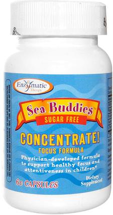 Sea Buddies, Concentrate!, Focus Formula, Sugar Free, 60 Capsules by Enzymatic Therapy, 補充劑，dmae HK 香港