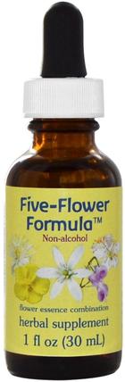 Five-Flower Formula, Flower Essence Combination, Non-Alcohol, 1 fl oz (30 ml) by Flower Essence Services, 草藥，花卉療法 HK 香港