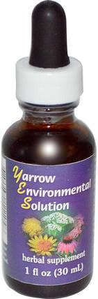 Yarrow Environmental Solution, 1 fl oz (30 ml) by Flower Essence Services, 健康 HK 香港