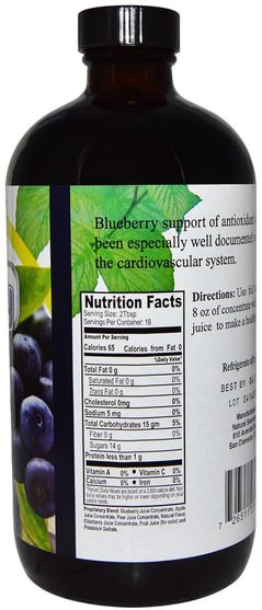 食品，咖啡茶和飲料，果汁 - Natural Sources, Blueberry Drink Concentrate, Naturally Sweetened, 16 fl oz (480 ml)