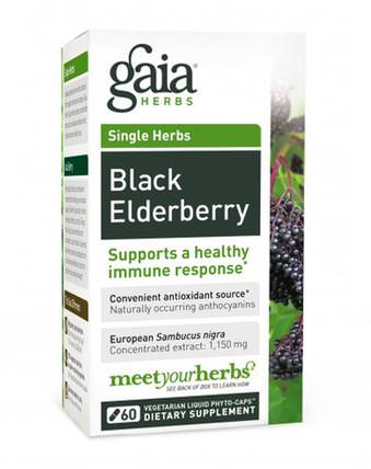 Black Elderberry, 30 Vegetarian Liquid Phyto-Caps by Gaia Herbs, 健康，感冒流感和病毒，接骨木（接骨木） HK 香港