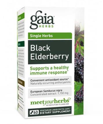 Black Elderberry, 60 Vegetarian Liquid Phyto-Caps by Gaia Herbs, 健康，感冒流感和病毒，接骨木（接骨木） HK 香港
