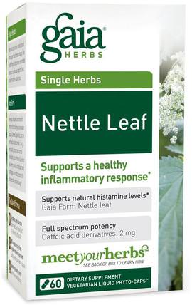 Nettle Leaf, 60 Veggie Liquid Phyto-Caps by Gaia Herbs, 健康，肺和支氣管，草藥，蕁麻刺痛，蕁麻根 HK 香港