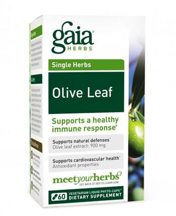 Olive Leaf, 60 Vegetarian Liquid Phyto-Caps by Gaia Herbs, 健康，感冒流感和病毒，橄欖葉 HK 香港