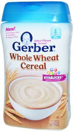 Whole Wheat Cereal, 8 oz (227 g) by Gerber, 兒童健康，兒童食品，嬰兒餵養，嬰兒穀物 HK 香港