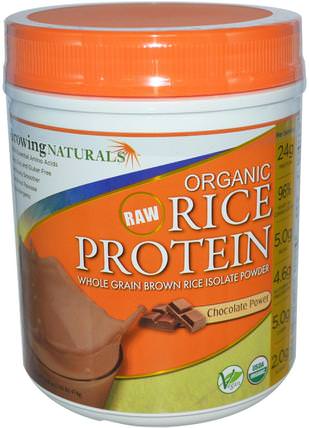 Organic Raw Rice Protein, Chocolate Power, 16.8 oz (476 g) by Growing Naturals, 補充劑，蛋白質，大米蛋白粉 HK 香港