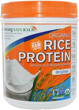 Organic Raw Rice Protein, Original, 16.2 oz (459 g) by Growing Naturals, 補充劑，蛋白質，大米蛋白粉 HK 香港