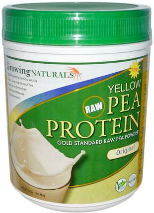 Yellow Pea Protein, Original, 16 oz (456 g) by Growing Naturals, 補充劑，蛋白質，豌豆蛋白質 HK 香港