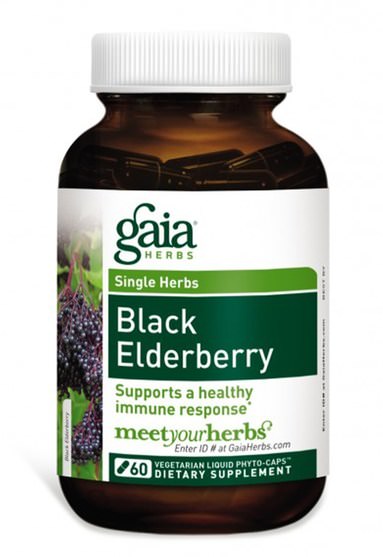 健康，感冒流感和病毒，接骨木（接骨木） - Gaia Herbs, Black Elderberry, 30 Vegetarian Liquid Phyto-Caps