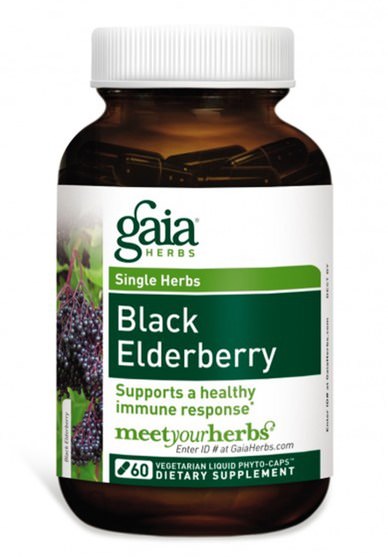 健康，感冒流感和病毒，接骨木（接骨木） - Gaia Herbs, Black Elderberry, 60 Vegetarian Liquid Phyto-Caps