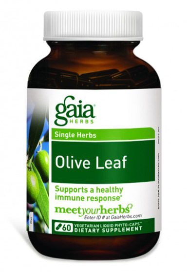 健康，感冒流感和病毒，橄欖葉 - Gaia Herbs, Olive Leaf, 60 Vegetarian Liquid Phyto-Caps