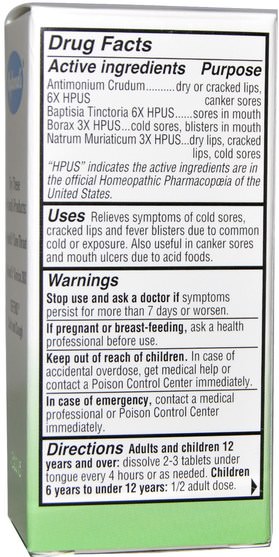 健康，皰疹，唇皰疹產品 - Hylands, Cold Sores & Fever Blisters, 100 Tablets