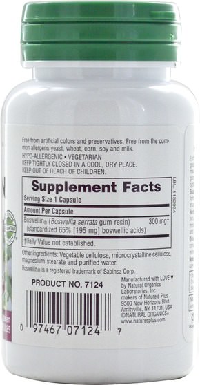 健康，炎症，乳香 - Natures Plus, Herbal Actives, Boswellin, 300 mg, 60 Veggie Caps