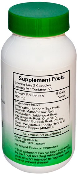 健康，鼻腔健康，鼻腔 - Christophers Original Formulas, Sinus Plus Formula, 475 mg, 100 Veggie Caps
