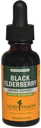 Black Elderberry, Alcohol-Free, 1 fl oz (29.6 ml) by Herb Pharm, 健康，感冒流感和病毒，接骨木（接骨木） HK 香港