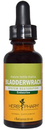 Bladderwrack, 1 fl oz (30 ml) by Herb Pharm, 草藥，膀胱 HK 香港