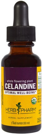 Celandine, 1 fl oz (30 ml) by Herb Pharm, 草藥，白屈菜 HK 香港