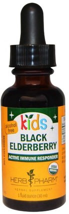 Kids, Black Elderberry, Alcohol Free, 1 fl oz (30 ml) by Herb Pharm, 健康，感冒流感和病毒，接骨木（接骨木），兒童健康，兒童草藥 HK 香港
