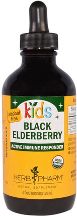 Kids Black Elderberry, Alcohol Free, 4 fl oz (120 ml) by Herb Pharm, 兒童健康，兒童草藥 HK 香港