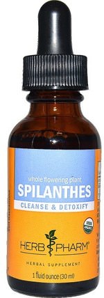 Spilanthes, Whole Flowering Plant, 1 fl oz (30 ml) by Herb Pharm, 草藥，spilanthes HK 香港