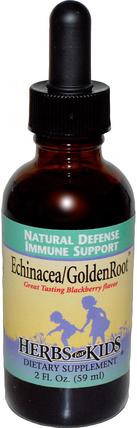Echinacea/GoldenRoot, Blackberry Flavor, 2 fl oz (59 ml) by Herbs for Kids, 補充劑，抗生素，紫錐花和黃金，健康，免疫系統 HK 香港