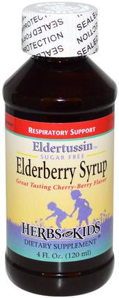 Sugar Free Elderberry Syrup, Cherry-Berry Flavor, 4 fl oz (120 ml) by Herbs for Kids, 健康，感冒流感和病毒，接骨木（接骨木），免疫系統 HK 香港