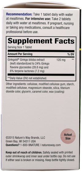 草藥，銀杏，銀杏 - Natures Way, Ginkgold Max, 120 mg, 60 Tablets