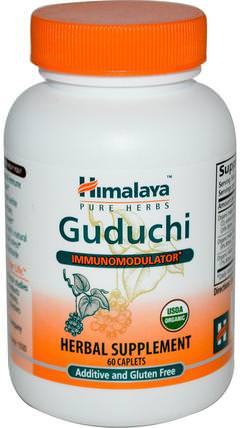 Guduchi, 60 Caplets by Himalaya Herbal Healthcare, 健康，感冒流感和病毒，免疫系統，草藥，guduchi HK 香港