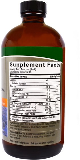 健康 - Natures Answer, Liquid Omega-3, Deep Sea Fish Oil EPA/DHA, Natural Orange Flavor, 16 fl oz (480 ml)