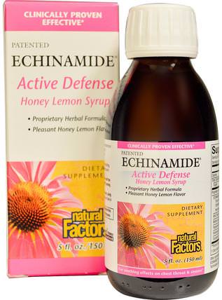 Echinamide Active Defense, Honey Lemon Syrup, 5 fl oz (150 ml) by Natural Factors, 補充劑，抗生素，紫錐花液體 HK 香港