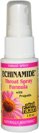 Echinamide, Throat Spray Formula with Propolis, 1 fl oz by Natural Factors, 健康，感冒流感和病毒，喉嚨護理噴霧，肺和支氣管 HK 香港