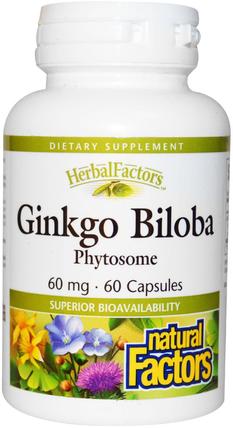 Ginkgo Biloba, Phytosome, 60 mg, 60 Capsules by Natural Factors, 補充劑，植物體，銀杏葉 HK 香港