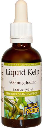 Liquid Kelp, 800 mcg Iodine, 1.6 fl oz (50 ml) by Natural Factors, 健康，甲狀腺，補品，藻類各種，海帶 HK 香港