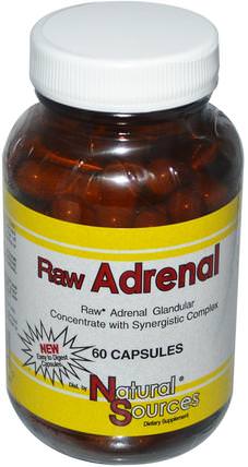 Raw Adrenal, 60 Capsules by Natural Sources, 補充劑，腎上腺，牛產品 HK 香港