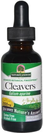 Cleavers, Galium Aparine, 2000 mg, 1 fl oz (30 ml) by Natures Answer, 草藥，切肉刀 HK 香港