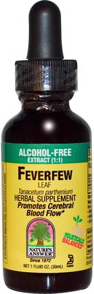FeverFew Leaf, Alcohol-Free, 1 fl oz (30 ml) by Natures Answer, 草藥，小白菊 HK 香港
