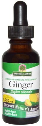 Ginger, Alcohol-Free, 1.000 mg, 1 fl oz (30 ml) by Natures Answer, 草藥，姜根 HK 香港