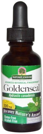 Goldenseal, Alcohol Free, 500 mg, 1 fl oz (30 ml) by Natures Answer, 草藥，黃金根 HK 香港