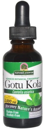 Gotu Kola, Alcohol-Free, 1 fl oz (30 ml) by Natures Answer, 健康，女性，曲張靜脈治療，gotu kola HK 香港
