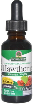 Hawthorne, Alcohol-Free, 2000 mg, 1 fl oz (30 ml) by Natures Answer, 草藥，山楂 HK 香港